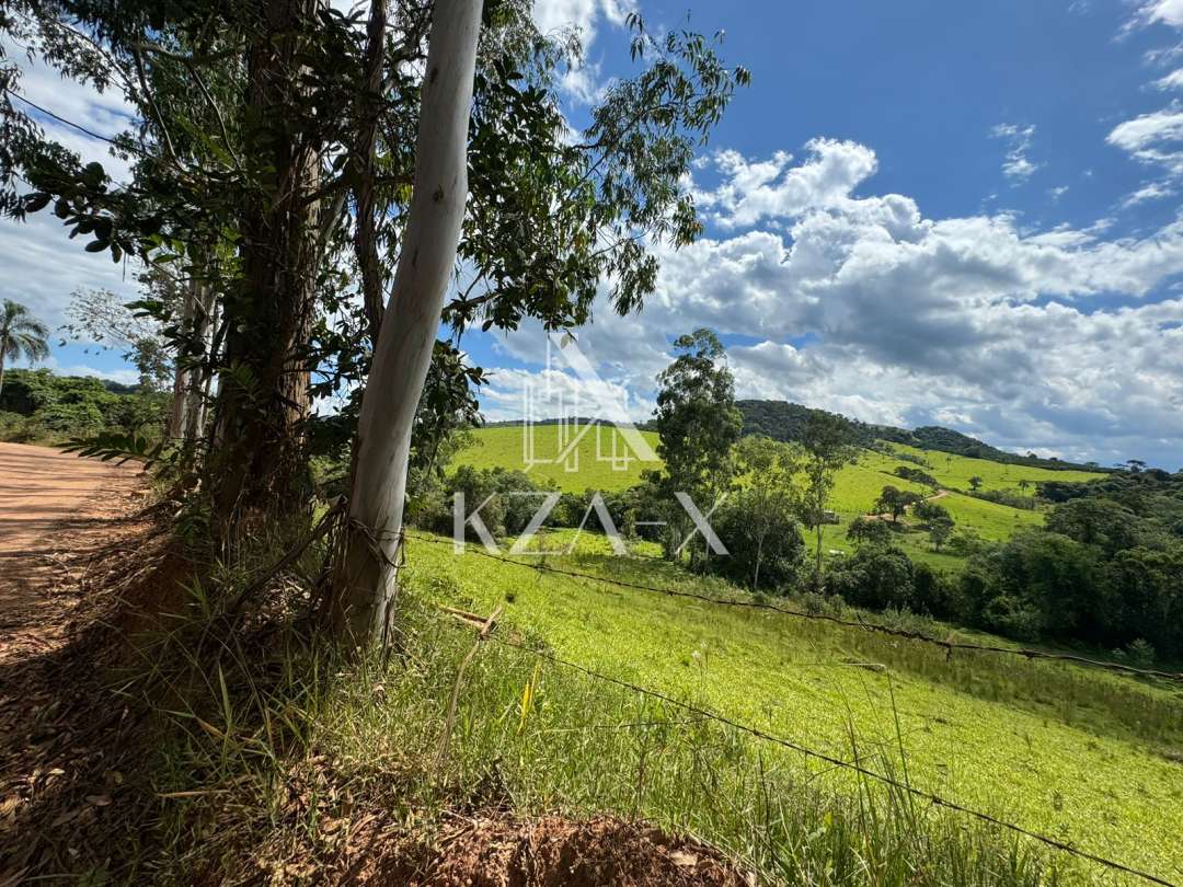 Área em Sítio Borda Do Mato Campestre Mg